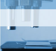 The British Society for Antimicrobial Chemotherapy is working with the pharmaceutical industry to establish a series of antibiotic and antimicrobial resistance surveillance programmes. Image: microscope